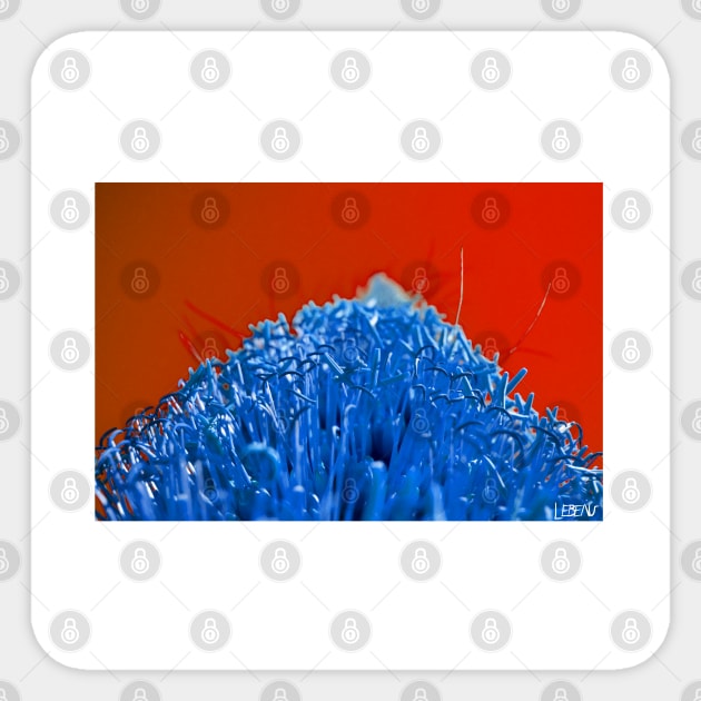 blue harvest ecopop landscape floral photograph Sticker by jorge_lebeau